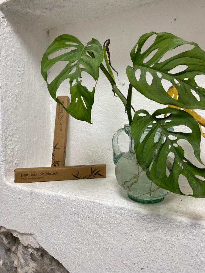 El Acicate Hospedaje Cuetzalán del Progreso Екстериор снимка